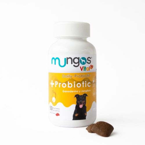 Probióticos Mungos - Vital + Probiotic