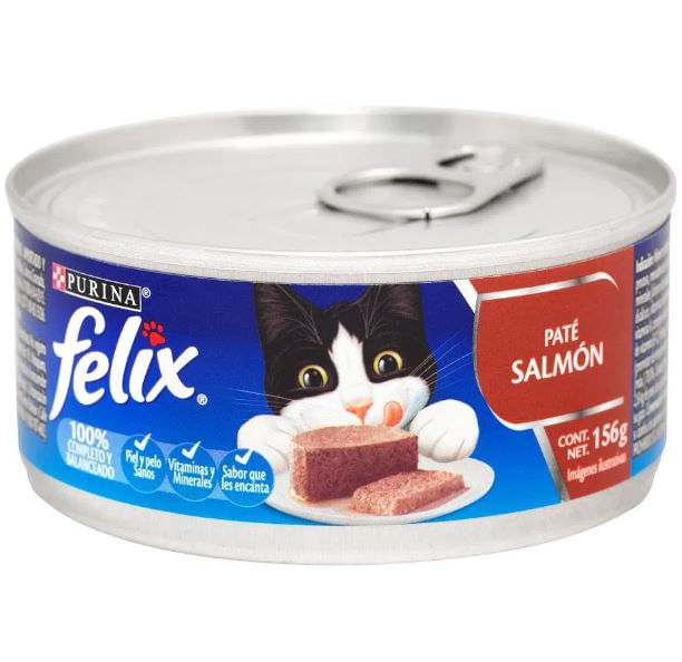 felix-pate-salmon-gh028