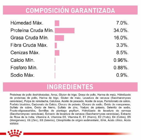 royal-canin-kitten-ingredientes