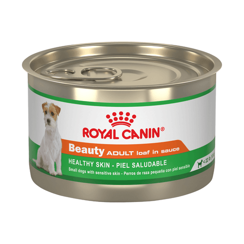 Royal Canin Alimento húmedo Piel saludable