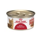 royal-canin-gato-adulto