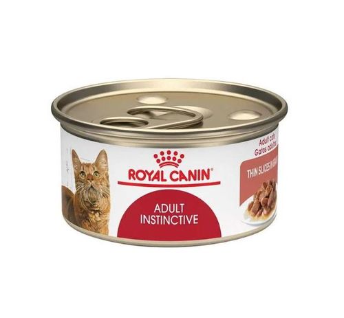 Royal Canin gato adulto. Lata.