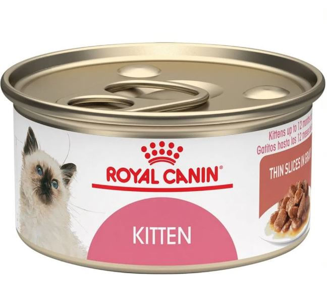 royal-canin-kitten-lata