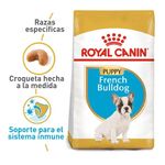 royal-canin-bulldog-cachorro