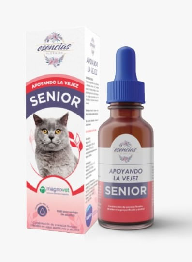 FELINO-SENIOR