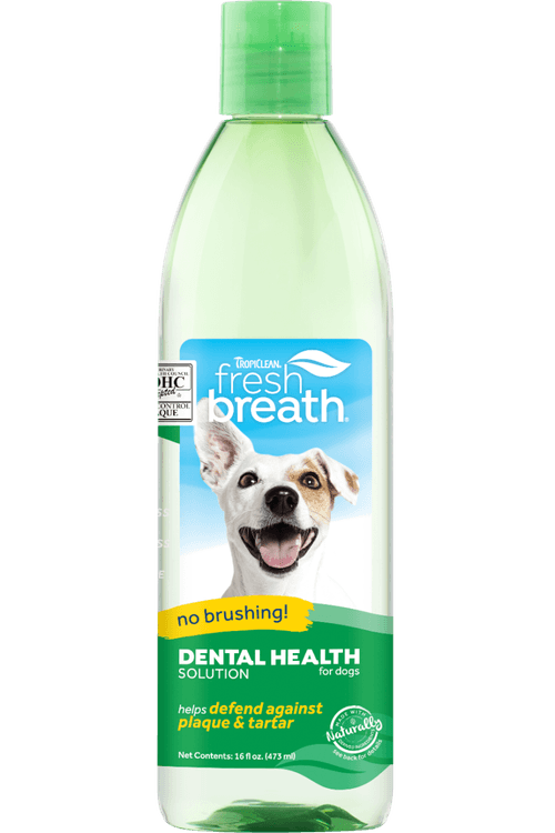 Solución dental para perros