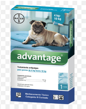 Advantage Perros | Protección efectiva contra pulgas