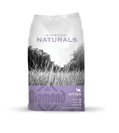 DIAMOND KITTEN NATURAL