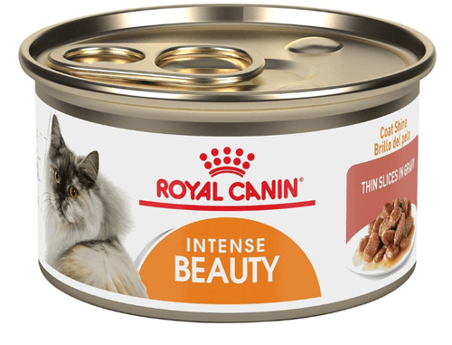 ROYAL INTENSE BEAUTY GATO