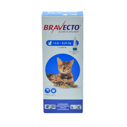 Bravecto Antiparasitario para Gatos