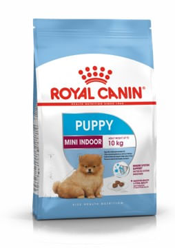 Royal Canin para cachorro mini indoor