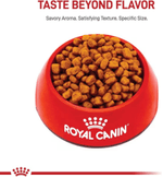 30111451422 Compra en Manchas Royal Canin para perro adulto Yorkshire Terrier