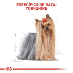 30111451422 Compra en Manchas Royal Canin para perro adulto Yorkshire Terrier