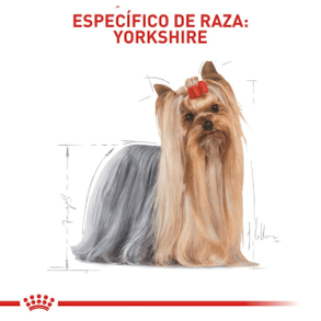 30111451422 Compra en Manchas Royal Canin para perro adulto Yorkshire Terrier