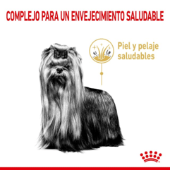 3182550908504 Compra en Manchas Royal Canin para perro adulto senior 8+ Yorkshire Terrier