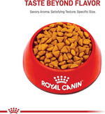 3182550704625 compra en Manchas Royal Canin para gato adulto de interior Indoor