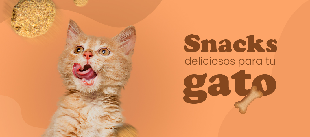 snacks para gatos
