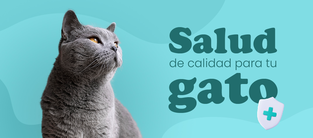 antipulgas para gatos